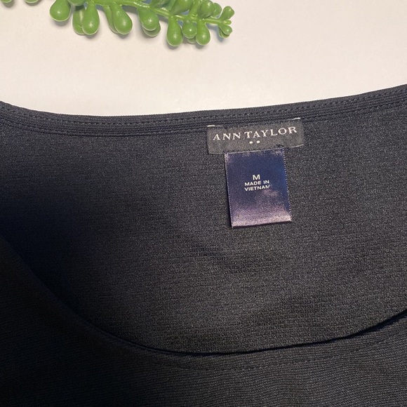 Ann Taylor Ruffled‎ Top - Picture 6 of 6